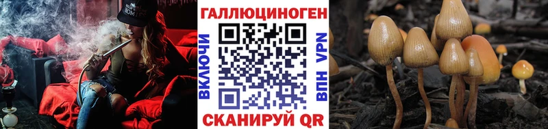 Псилоцибиновые грибы MAGIC MUSHROOMS Бокситогорск
